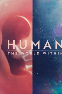 Человеческое тело: мир внутри